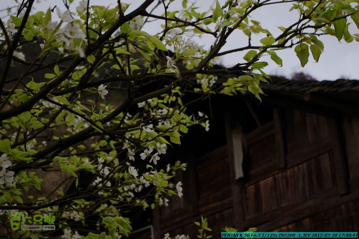 20150328-登宝鼎山(南宝鼎)-(桂林驴先锋户外)IMGP2326