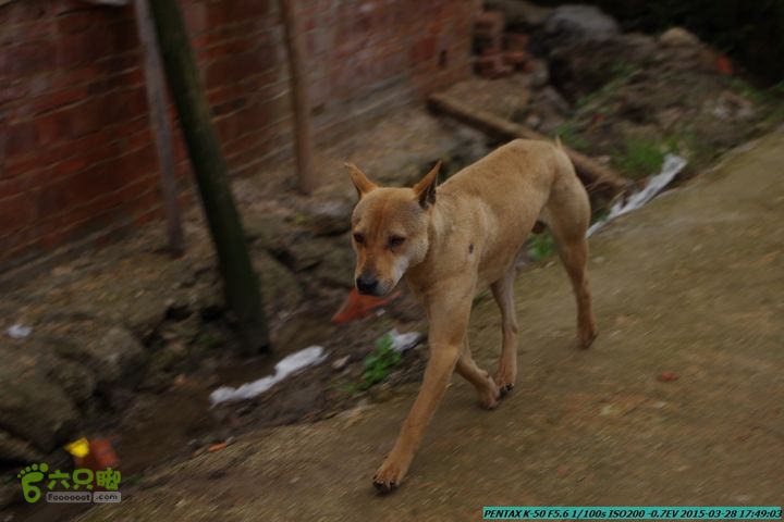 20150328-登宝鼎山(南宝鼎)-(桂林驴先锋户外)IMGP2328
