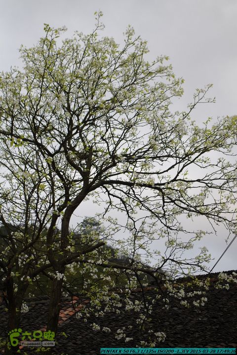 20150328-登宝鼎山(南宝鼎)-(桂林驴先锋户外)IMGP2332