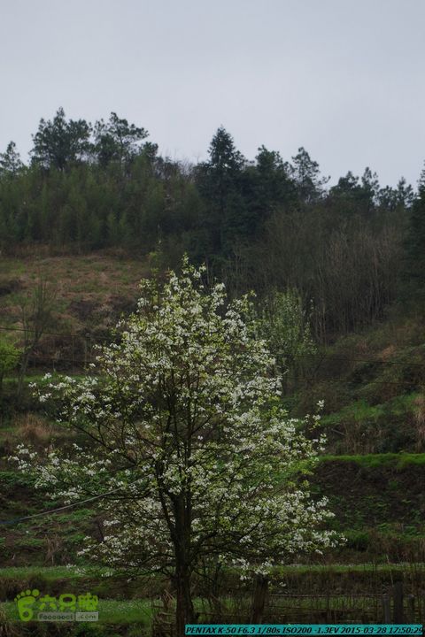 20150328-登宝鼎山(南宝鼎)-(桂林驴先锋户外)IMGP2338