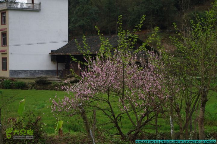 20150328-登宝鼎山(南宝鼎)-(桂林驴先锋户外)IMGP2355