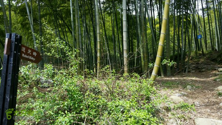 金沙村环线2015-03-28 11:22:45