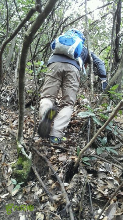 绩溪七姑山连穿2015-03-28 10:49:22