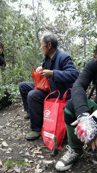 绩溪七姑山连穿2015-03-28 11:44:45