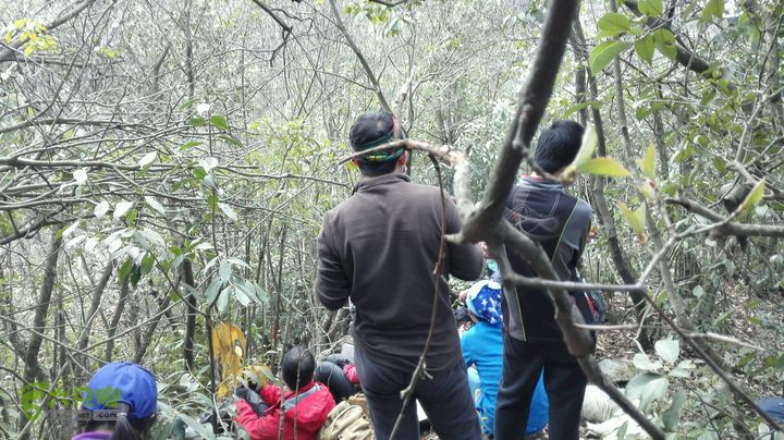 绩溪七姑山连穿2015-03-28 12:00:14