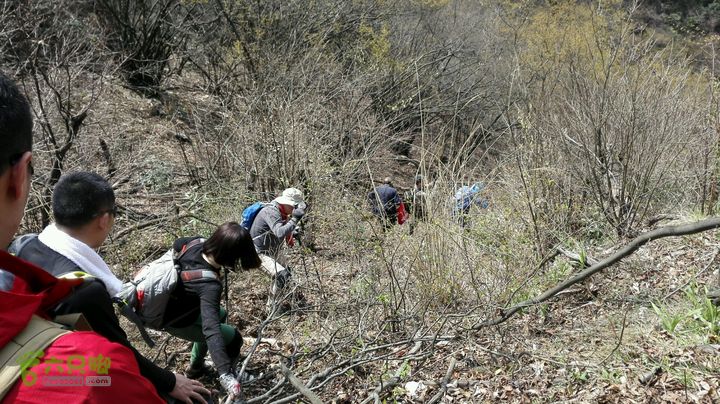 绩溪七姑山连穿2015-03-28 12:55:05