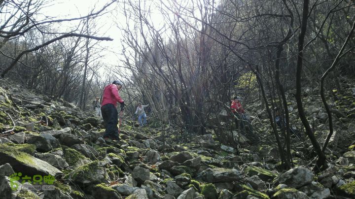 绩溪七姑山连穿2015-03-28 13:20:08