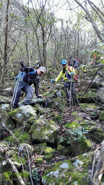 绩溪七姑山连穿2015-03-28 13:36:59