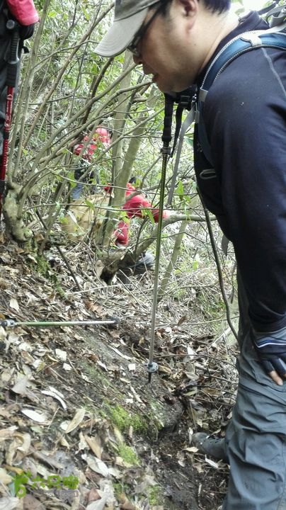 绩溪七姑山连穿2015-03-28 15:13:24