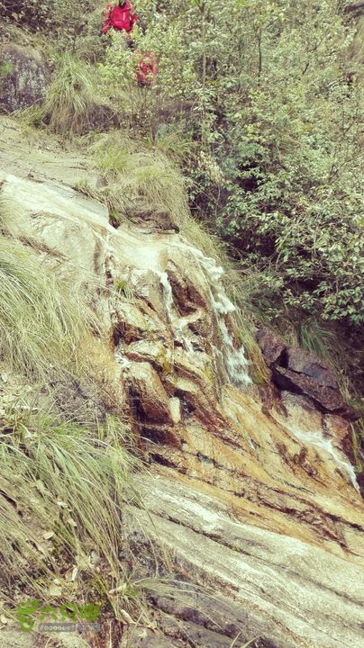 绩溪七姑山连穿2015-03-28 15:46:59