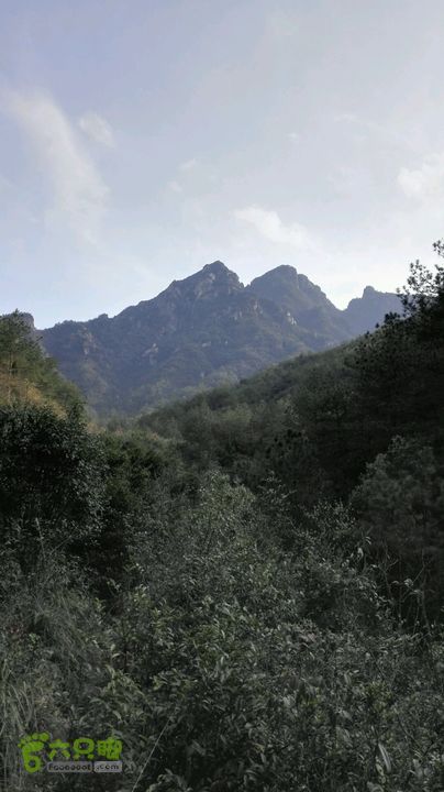 绩溪七姑山连穿2015-03-28 16:16:37