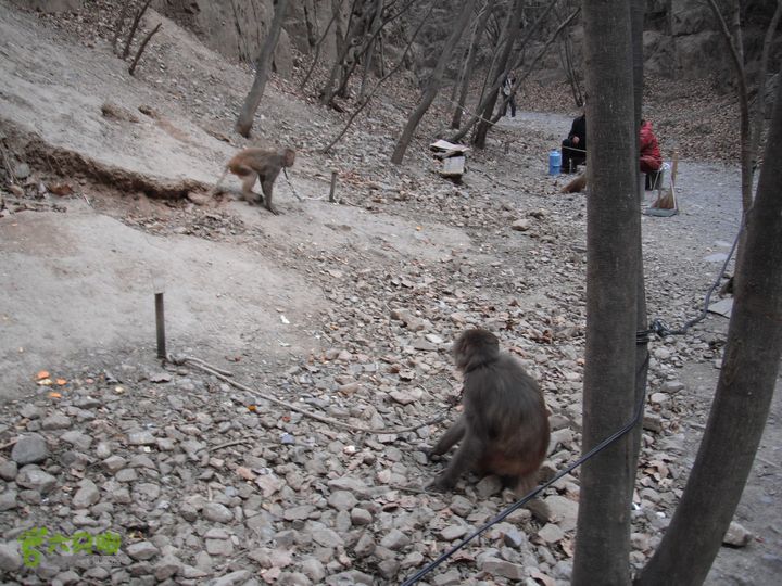 都衙-沙岭西-百里峡-苟各庄DSCF8399