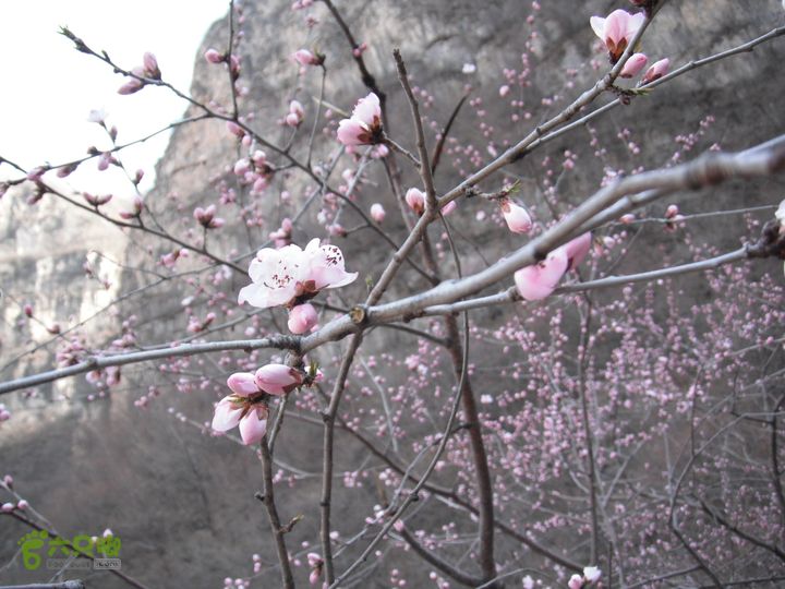 都衙-沙岭西-百里峡-苟各庄DSCF8405