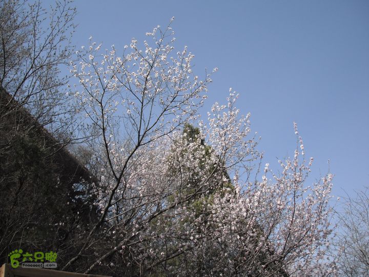 都衙-沙岭西-百里峡-苟各庄DSCF8416