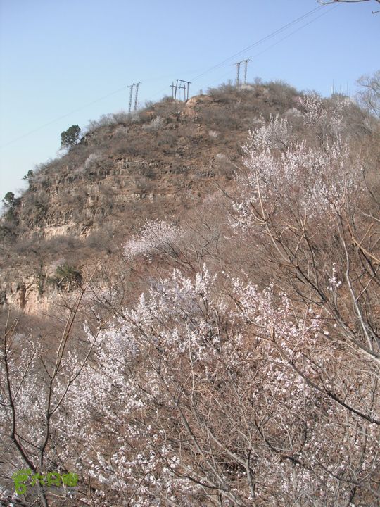 都衙-沙岭西-百里峡-苟各庄DSCF8425