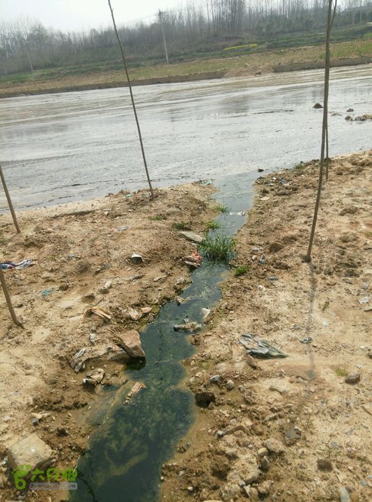 清流河环保徒步（第一阶段）一处生活污水