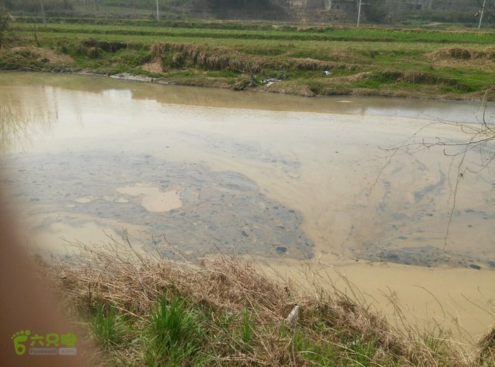 清流河环保徒步（第一阶段）油污