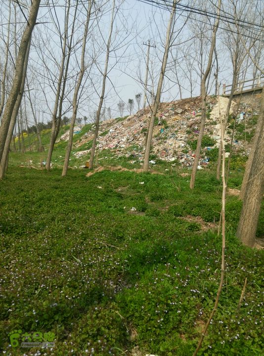 清流河环保徒步（第一阶段）可惜后面就是垃圾堆