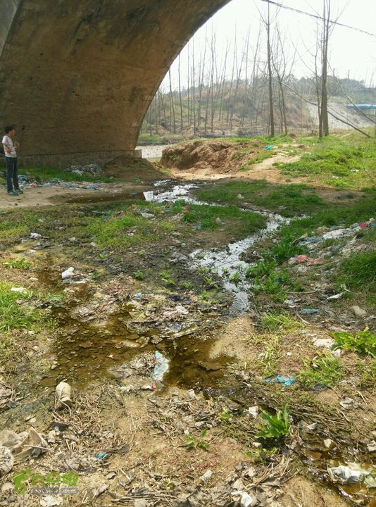 清流河环保徒步（第一阶段）一处生活污水点