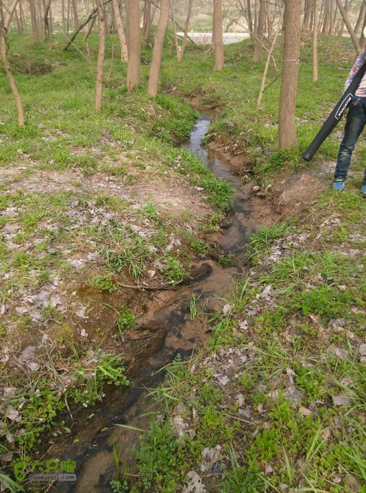 清流河环保徒步（第一阶段）一处水源