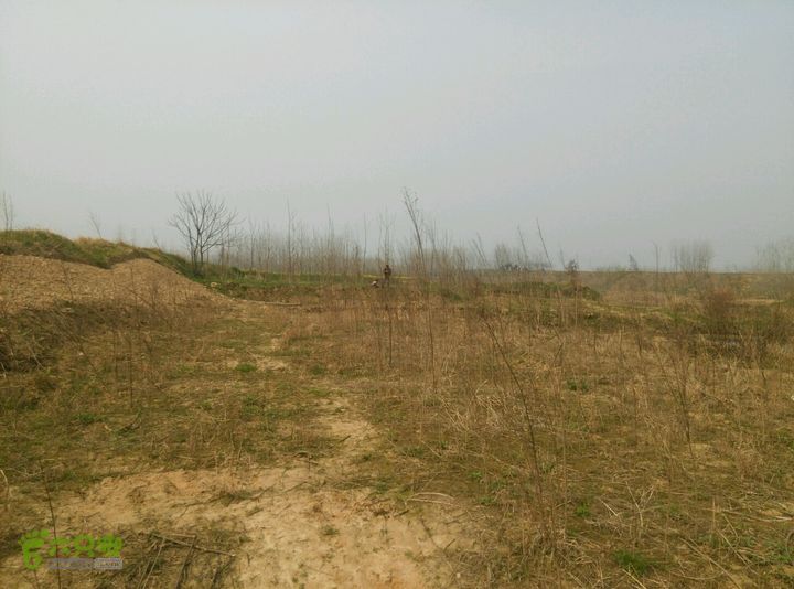 清流河环保徒步（第一阶段）荒地