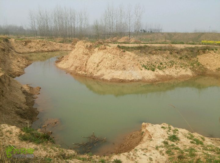 清流河环保徒步（第一阶段）一处采砂场