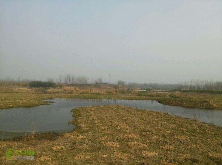 清流河环保徒步（第一阶段）这边的河流都成了大小池塘