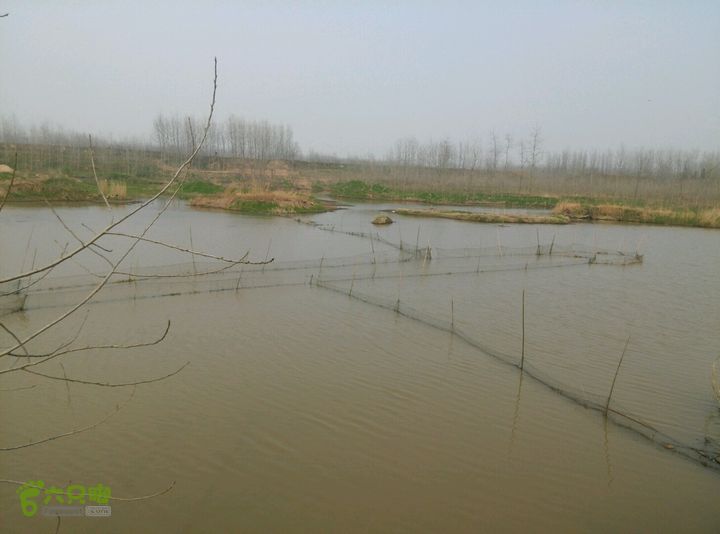 清流河环保徒步（第一阶段）据说叫迷魂阵，抓鱼