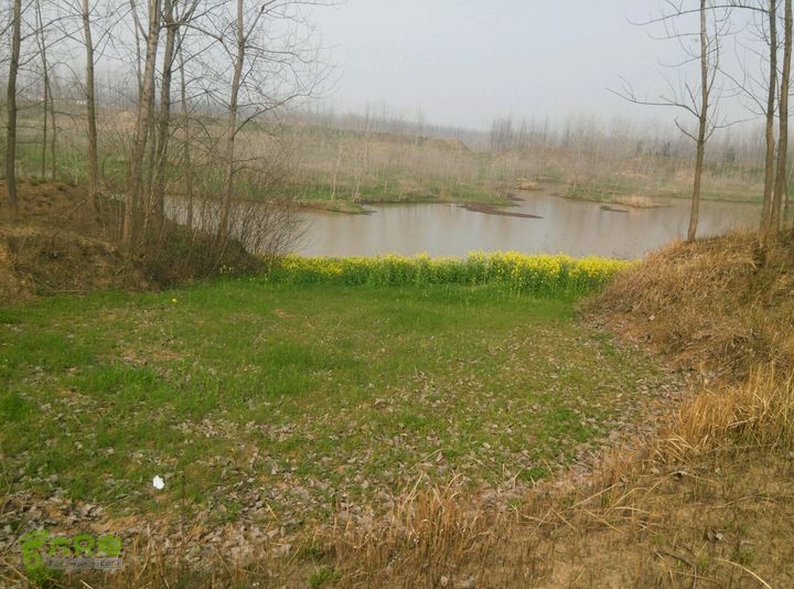 清流河环保徒步（第一阶段）一个小谷地