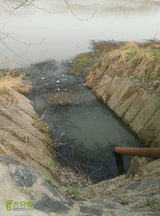 清流河环保徒步（第一阶段）一个取水点