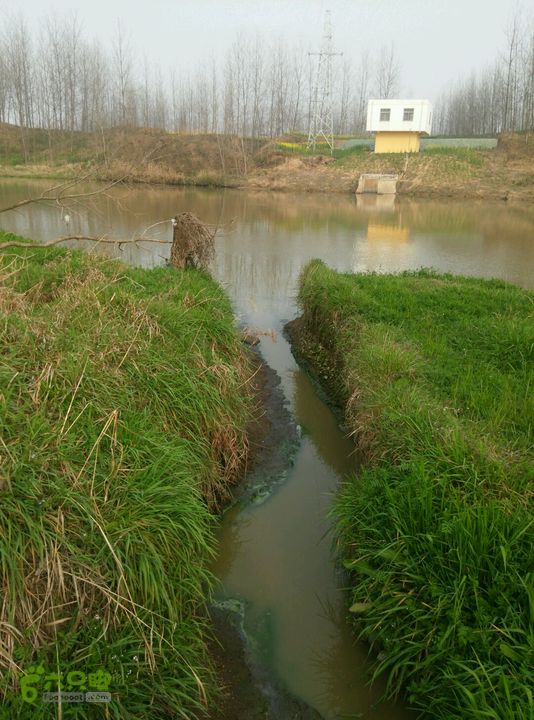 清流河环保徒步（第一阶段）一处养殖业排污渠