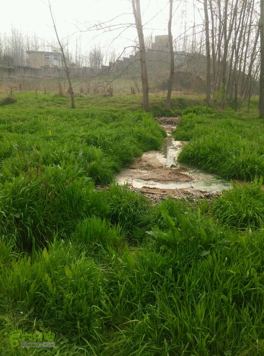 清流河环保徒步（第一阶段）2015-03-29 16:04:13