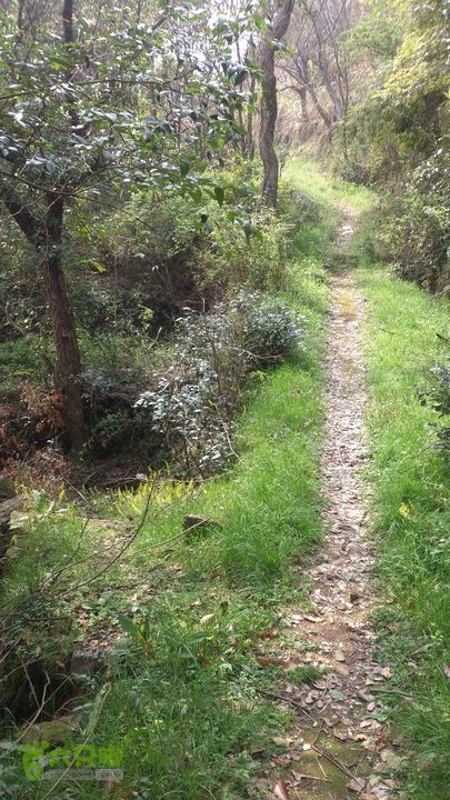 大球山（上保山）—横路头穿越✢槳樁巖下三岔路節點