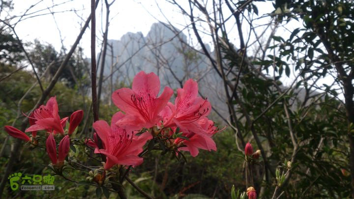 大球山（上保山）—横路头穿越柴爿花映槳樁巖