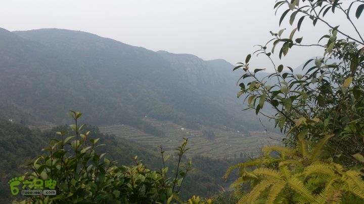 大球山（上保山）—横路头穿越峨嵋山（村）山園