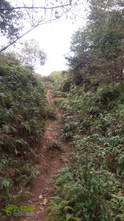 大球山（上保山）—横路头穿越✢裡沙田節點