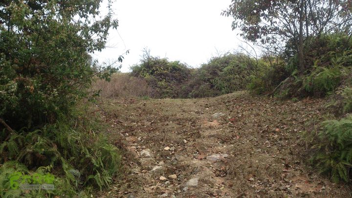大球山（上保山）—横路头穿越✢裡沙田節點