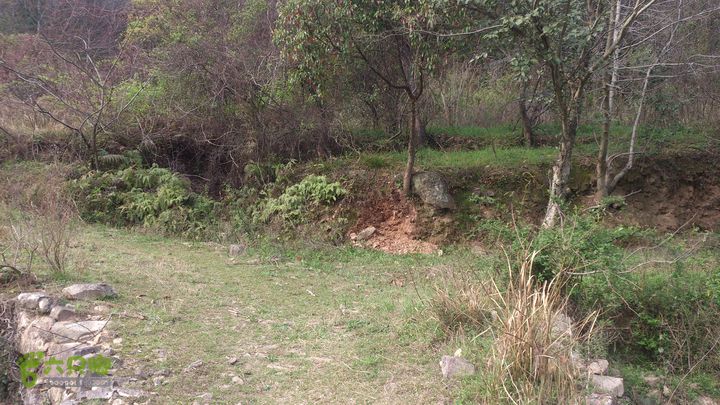 大球山（上保山）—横路头穿越✢山腳三岔路節點