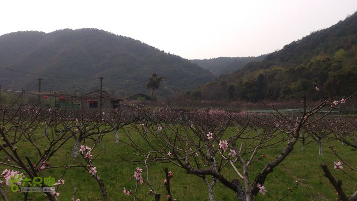 大球山（上保山）—横路头穿越橫路頭桃園