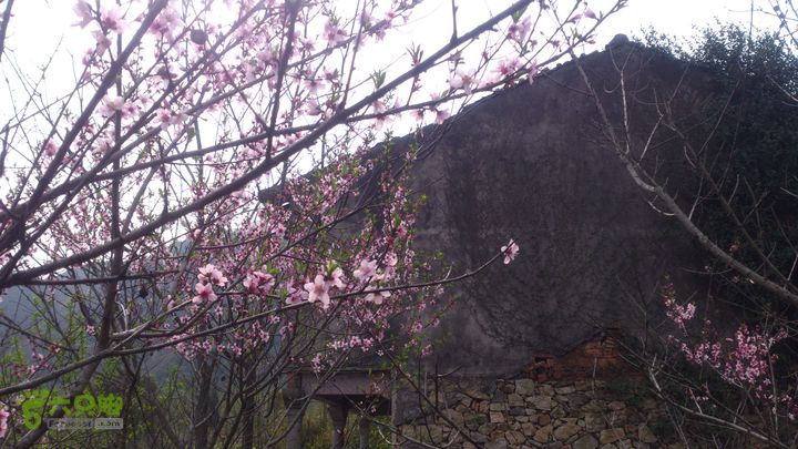 大球山（上保山）—横路头穿越橫路頭桃園