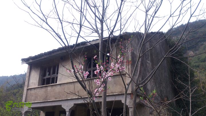 大球山（上保山）—横路头穿越橫路頭桃園