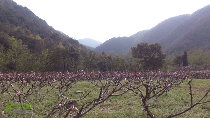 大球山（上保山）—横路头穿越橫路頭桃園