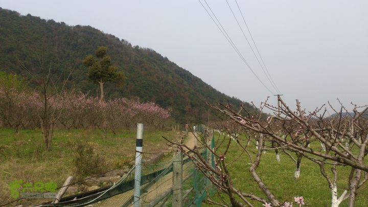 大球山（上保山）—横路头穿越橫路頭桃園