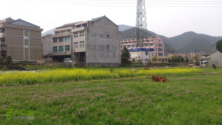 大球山（上保山）—横路头穿越橫路頭（村）