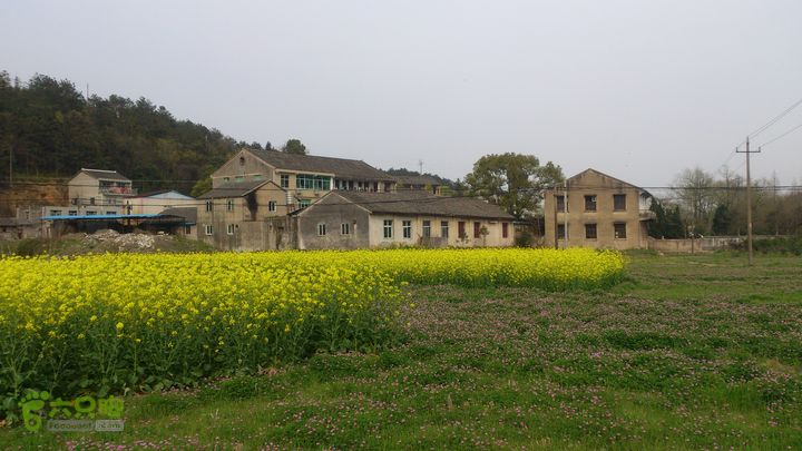 大球山（上保山）—横路头穿越橫路頭（村）