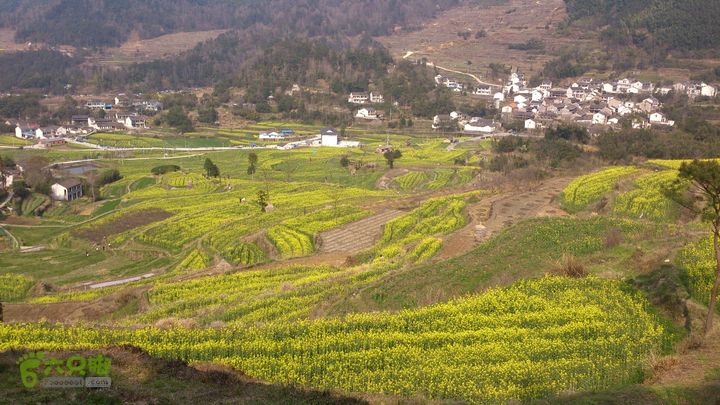 2015,03,29大堰-荷东-石井-西畈-大堰28西畈村