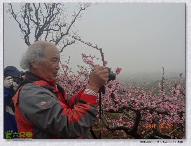 山前桃花梦nEO_IMG_nEO_IMG_DSC00687