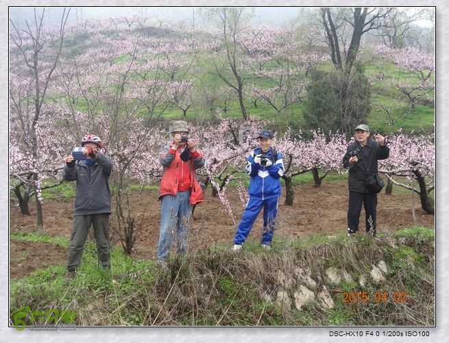 山前桃花梦nEO_IMG_nEO_IMG_DSC00724