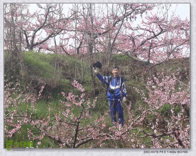 山前桃花梦nEO_IMG_nEO_IMG_DSC00737