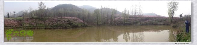 山前桃花梦nEO_IMG_nEO_IMG_DSC00773